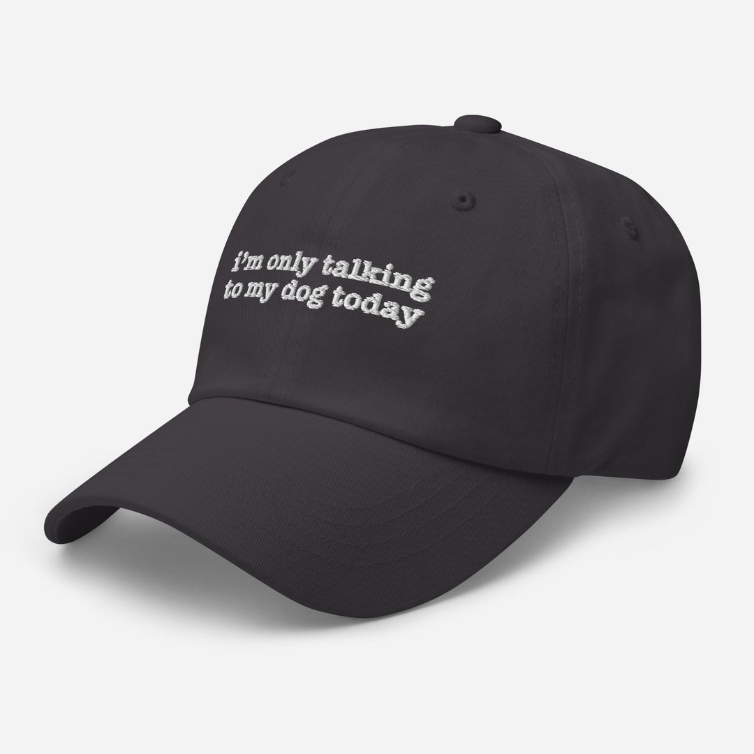 I'm Only Talking to My Dog Today Embroidered Hat