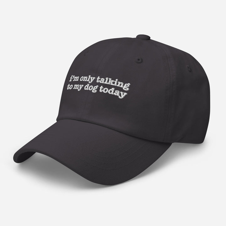 I'm Only Talking to My Dog Today Embroidered Hat