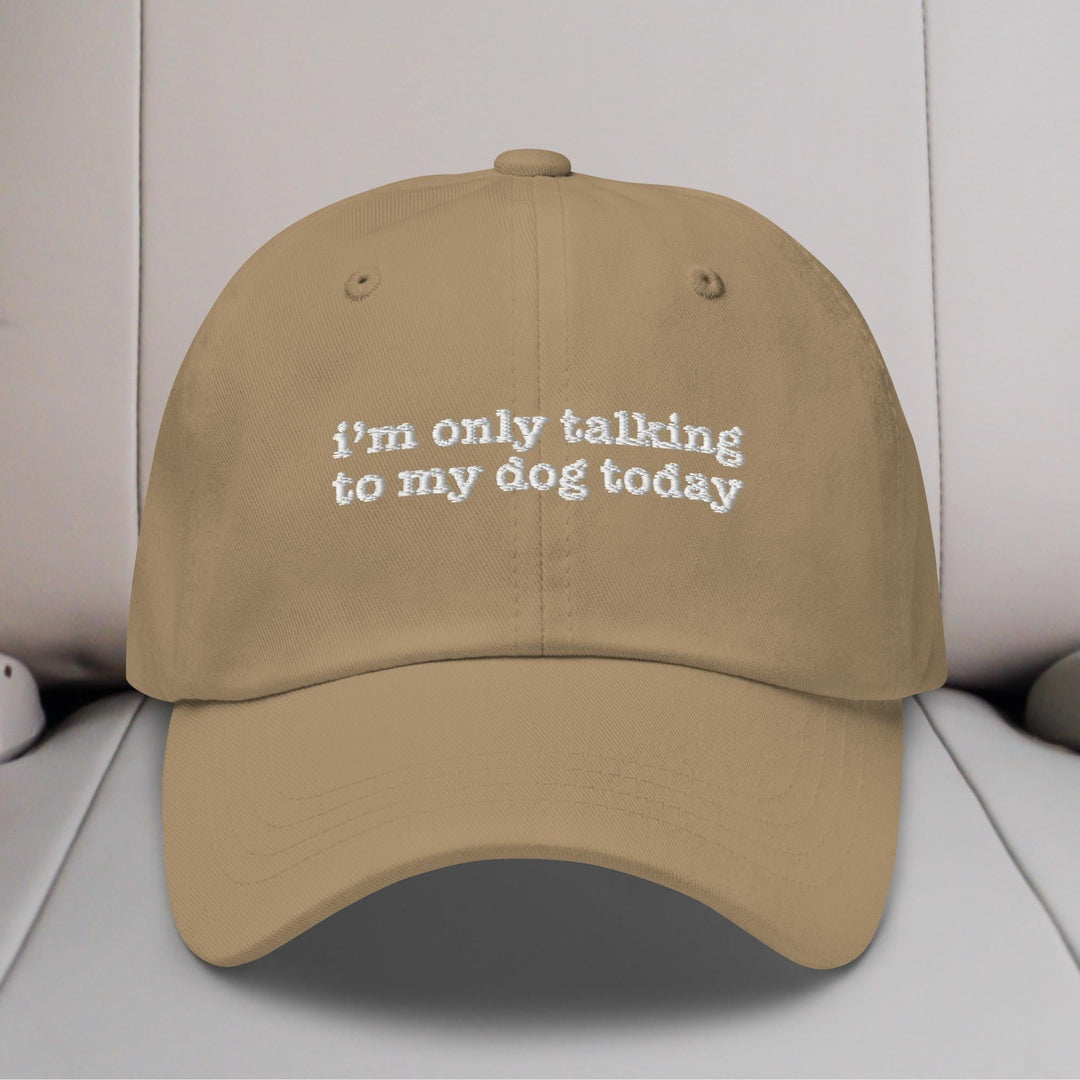 I'm Only Talking to My Dog Today Embroidered Hat