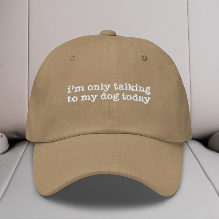 I'm Only Talking to My Dog Today Embroidered Hat